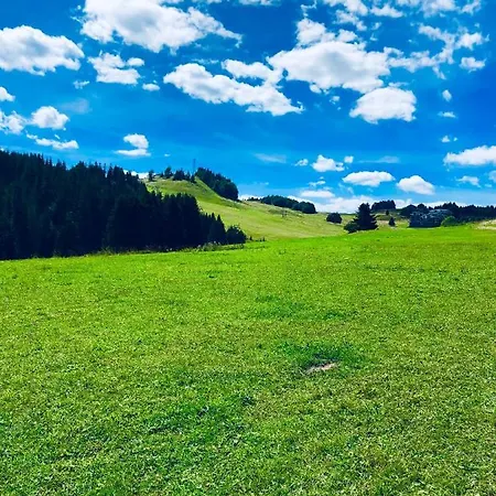 Apartamento Kamzík *