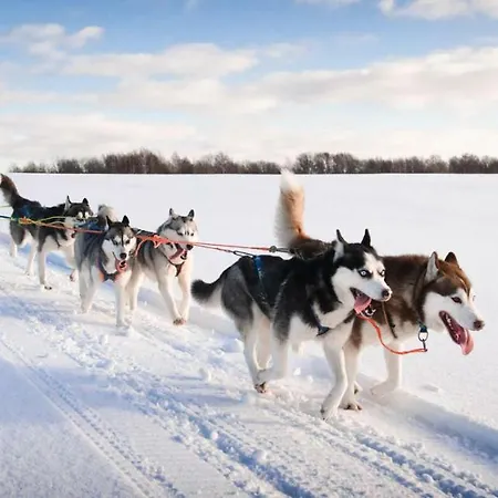 Kamzik * 도노발리