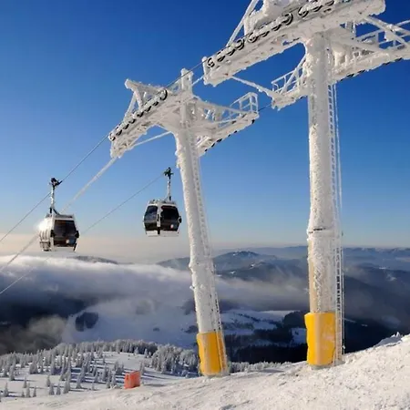 Kamzik * 도노발리